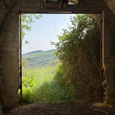 Palace לינה וארוחת בוקר Salaparuta