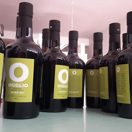 Palace Bed & Breakfast *