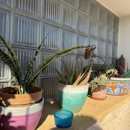 Bed & Breakfast Palace