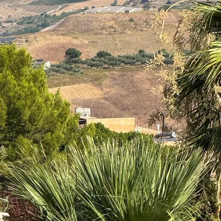 Bed & Breakfast Palace *