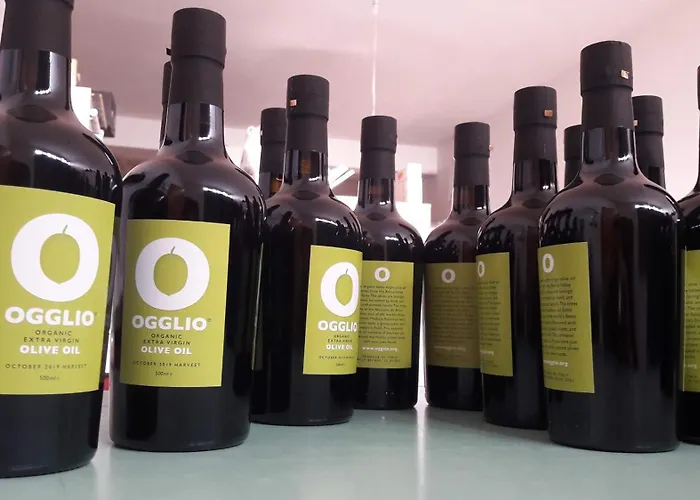 Palace Bed & Breakfast *