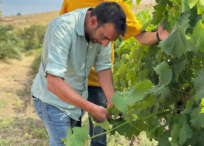 Palace Bed & Breakfast *